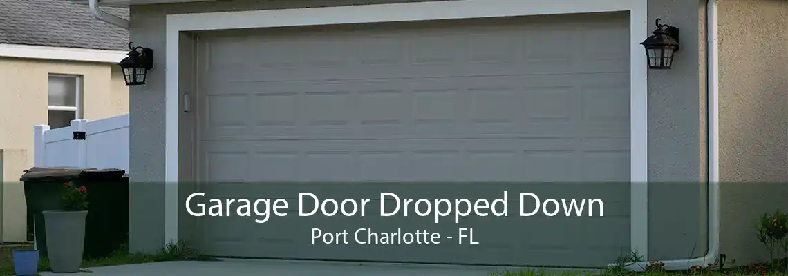 Garage Door Dropped Down Port Charlotte - FL