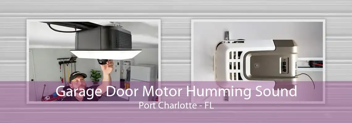 Garage Door Motor Humming Sound Port Charlotte - FL