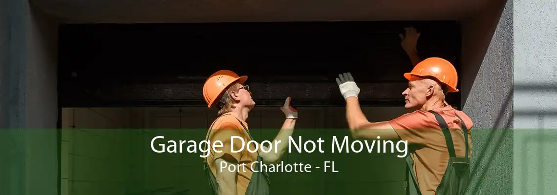 Garage Door Not Moving Port Charlotte - FL